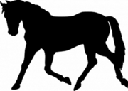 Куплю лошадь тяжелой породы (жеребец кобыла жеребенок )